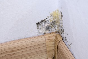 Cause of Basement Moisture?