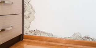 How to Find a Water Leak Inside a Wall