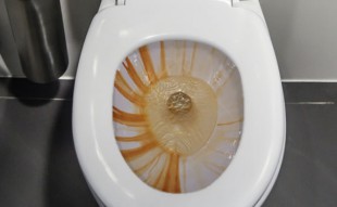 How to Prevent Rust Stains in your Toilet