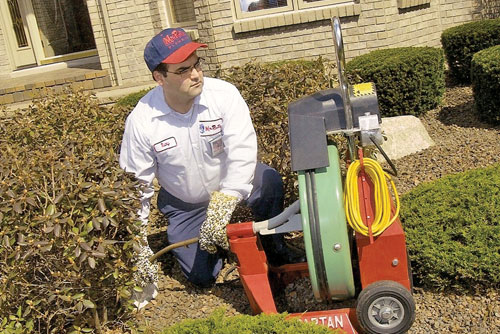 Drain Cleaning in Austintown