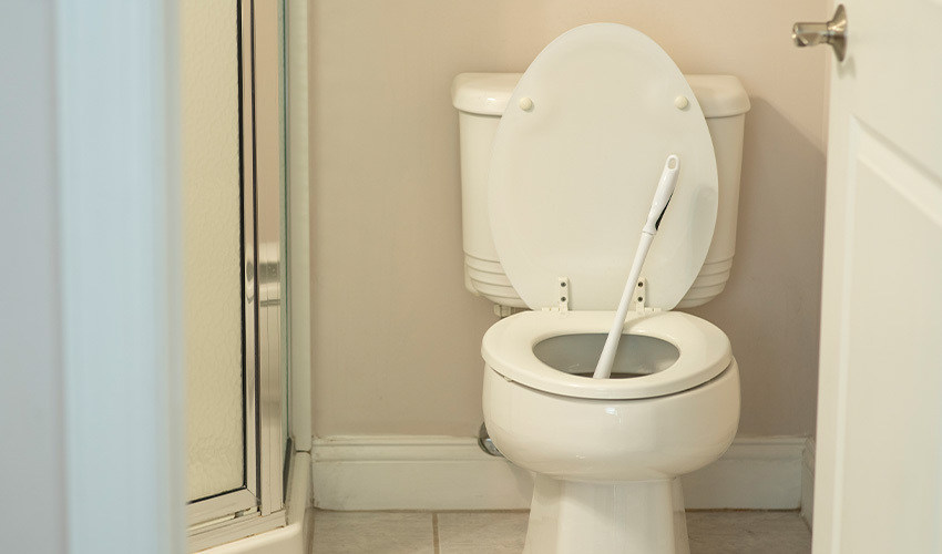 How To Fix A Whistling Toilet Flush