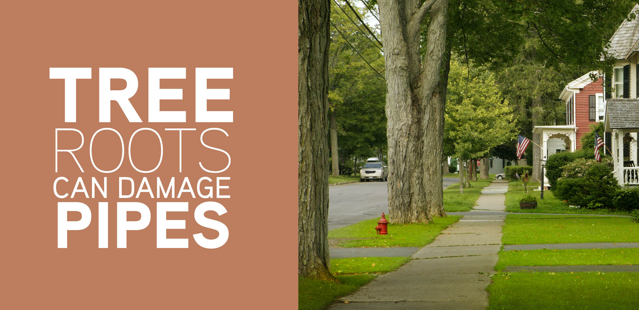 How to Fix a Whistling Toilet Mr.Rooter Plumbing of Youngstown